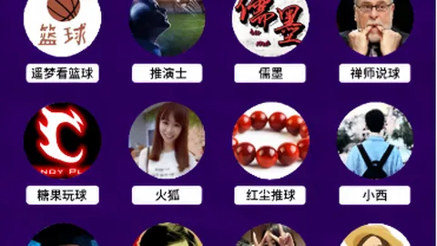 《揭秘焦点对决！凤凰与墨再度激战，数据解码胜利密钥！》